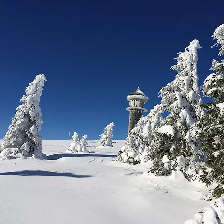 Berggasthof Wasmer Feldberg (Baden-Wurttemberg)