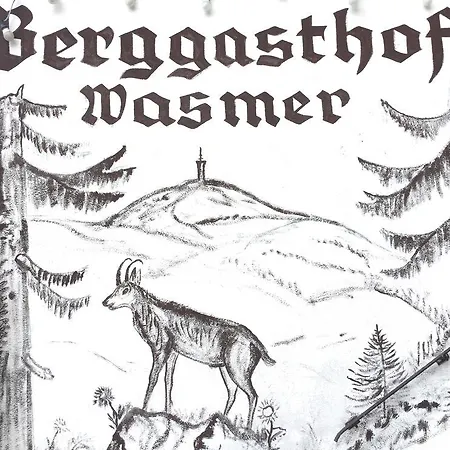Gæstehus Berggasthof Wasmer